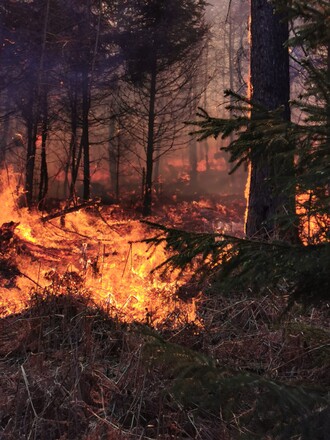 Waldbrände verhindern